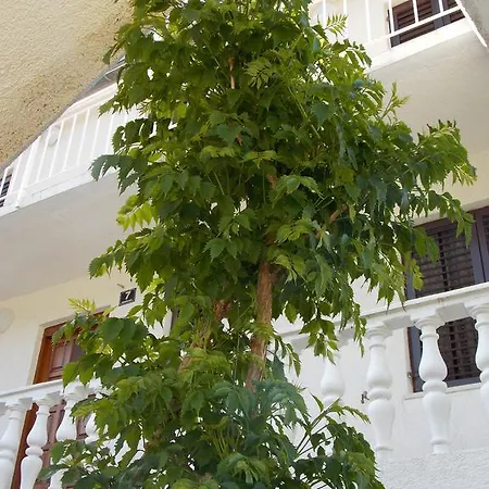 Apartment Pecarevic - A Holiday With A Stunning View Vis Exterior photo