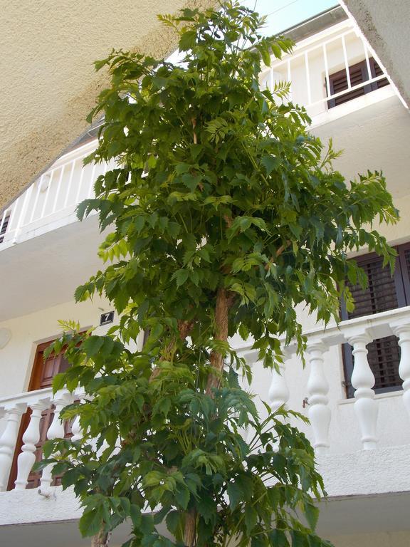 Apartment Apartment Pecarevic - A Holiday With A Stunning View *